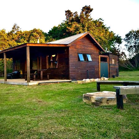 Pura Vida Forest Cabin Witelsbos Exterior foto
